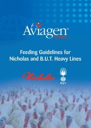 Feeding Guidelines for Nicholas and B.U.T. ... - Aviagen Turkeys