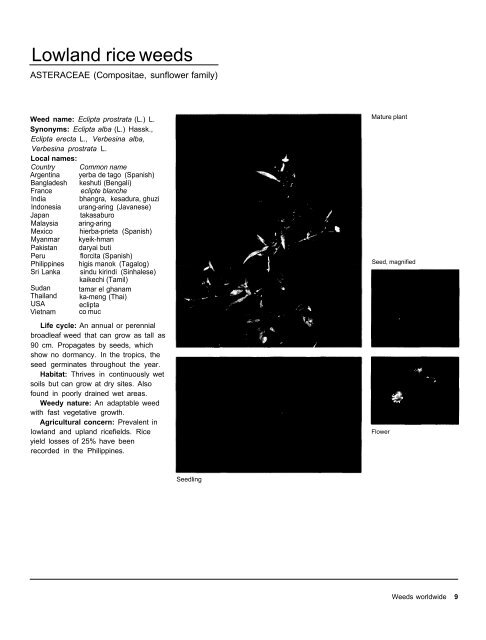 A handbbok on Weed Control in Rice.pdf