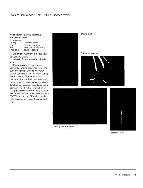 A handbbok on Weed Control in Rice.pdf