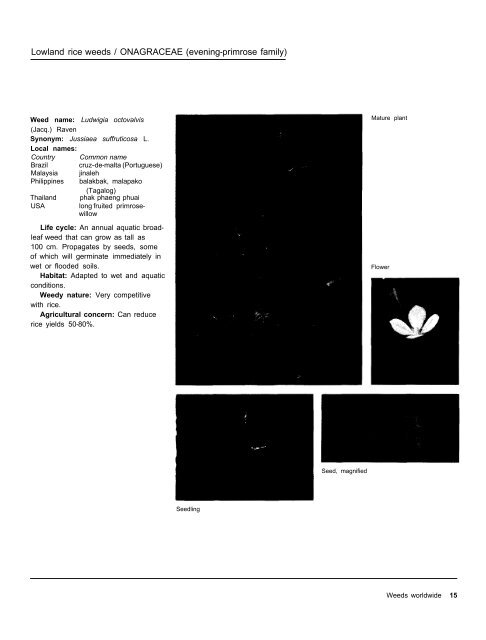 A handbbok on Weed Control in Rice.pdf