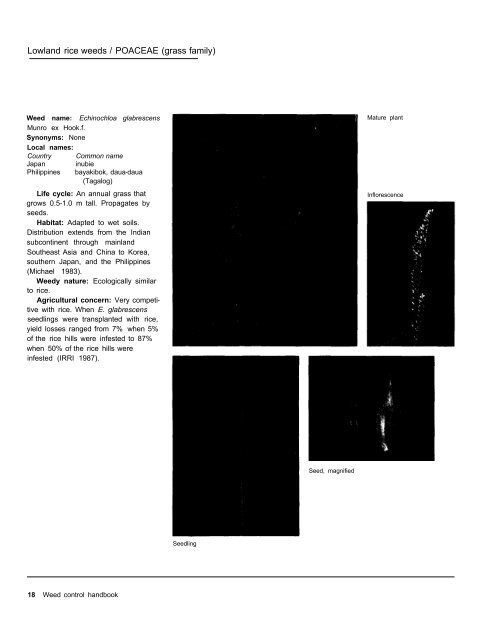 A handbbok on Weed Control in Rice.pdf