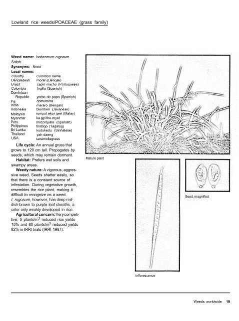 A handbbok on Weed Control in Rice.pdf