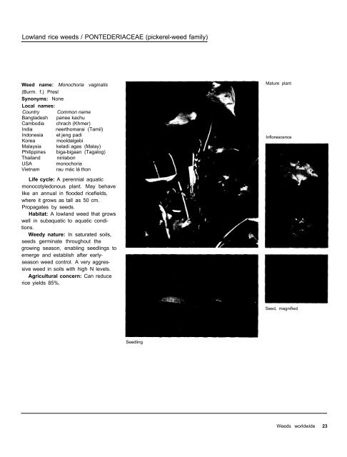 A handbbok on Weed Control in Rice.pdf