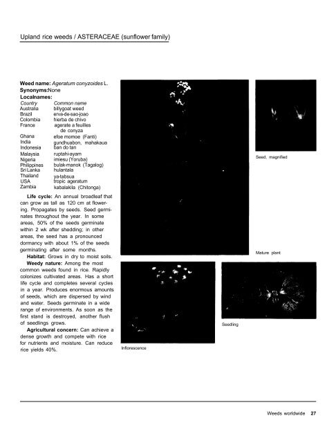 A handbbok on Weed Control in Rice.pdf