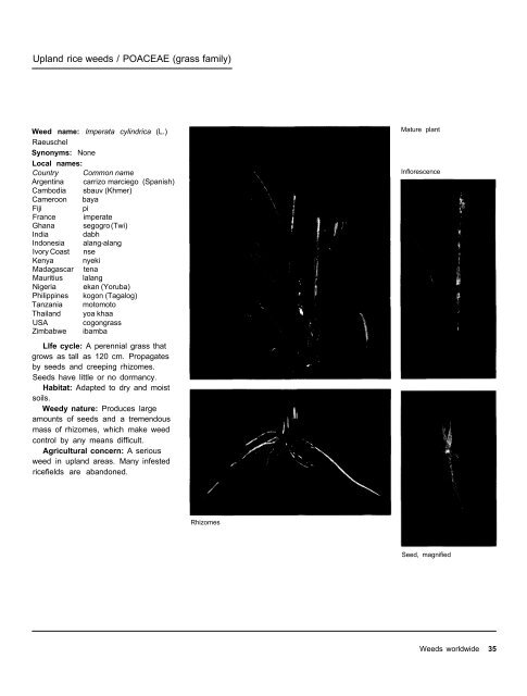 A handbbok on Weed Control in Rice.pdf