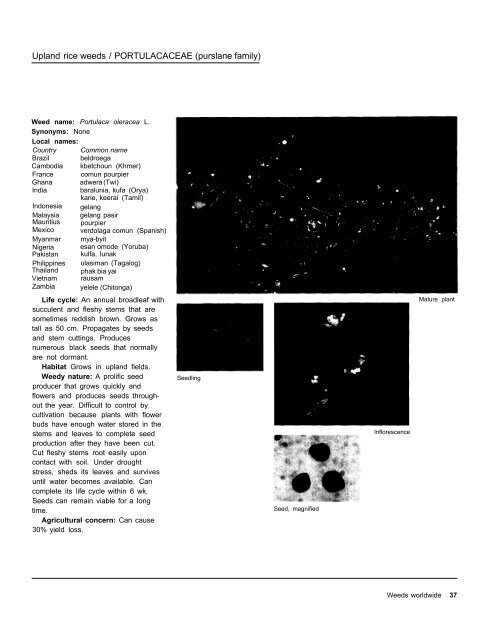 A handbbok on Weed Control in Rice.pdf