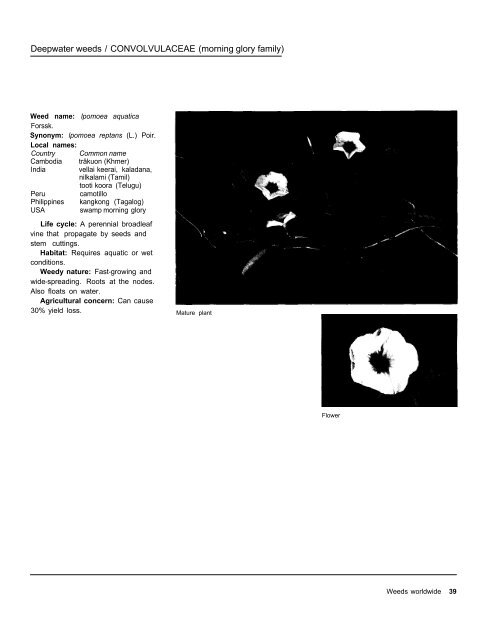 A handbbok on Weed Control in Rice.pdf