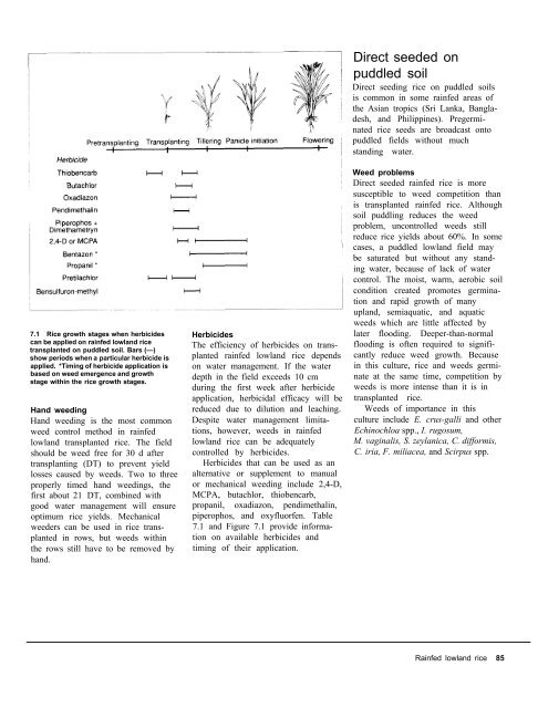 A handbbok on Weed Control in Rice.pdf