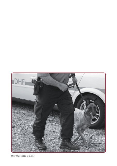 Mit sicherheit besser! - Workingdogs