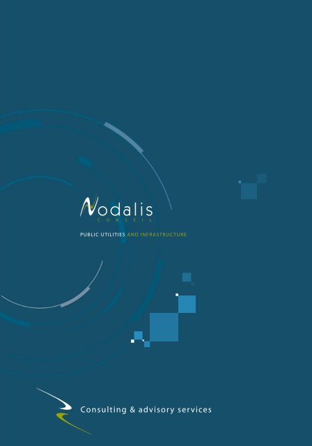Consulting & advisory services - Nodalis conseil
