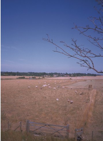 Burwell Station