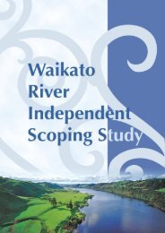 Waikato River Independent Scoping Study - Ministry for the ...