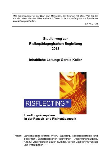 Gerald Koller - Risflecting