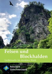 Felsen und Blockhalden - Naturpark Südschwarzwald