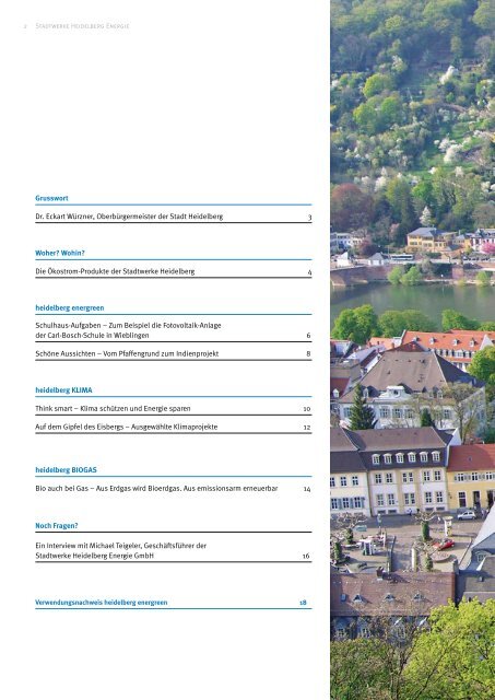 Mittelverwendung energreen - Stadtwerke Heidelberg