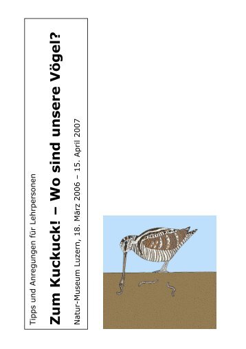 Zum Kuckuck! – Wo sind unsere Vögel? - Naturmuseum Luzern