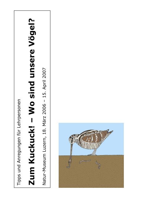 Zum Kuckuck Wo Sind Unsere Vogel Naturmuseum Luzern
