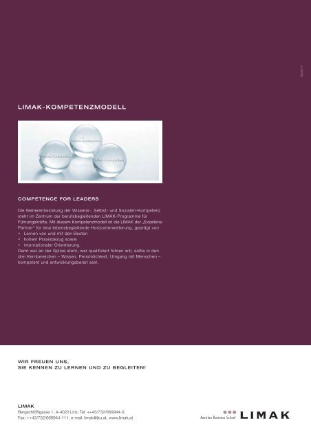 MSc Innovationsmanagement als PDF downloaden - Limak