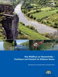 Untersuchungsbericht Mittlerer Neckar - VFG