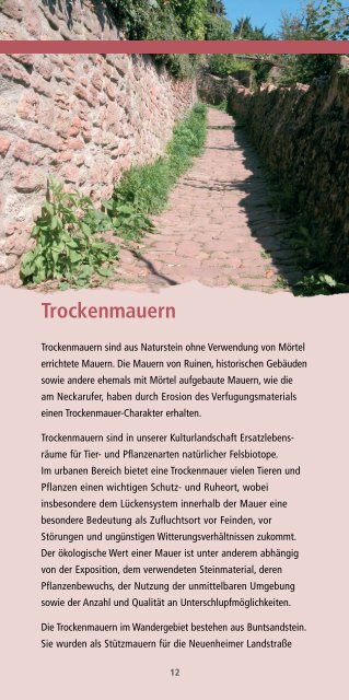 Vom Neckar zum Philosophenweg - Heidelberg