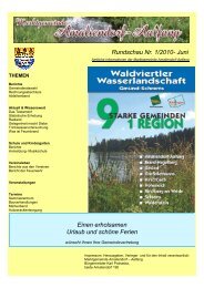 Rundschau Nr. 1/2010 - Marktgemeinde Amaliendorf