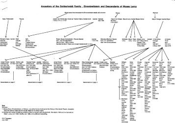 Goldschmidt family tree 1