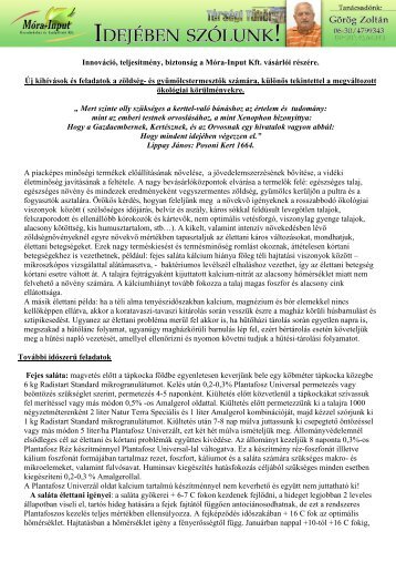 Idejében szólunk - Móra-Input Kft.