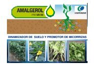 (Microsoft PowerPoint - AMALGEROL HORT\315COLAS ...