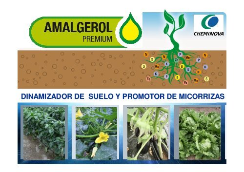 (Microsoft PowerPoint - AMALGEROL HORT\315COLAS ...