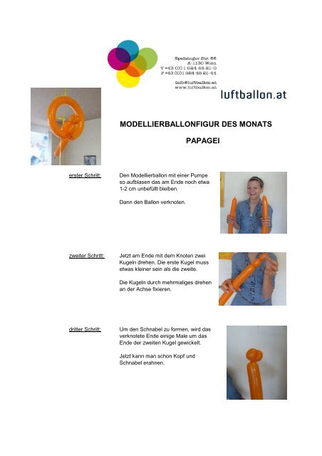 MODELLIERBALLONFIGUR DES MONATS PAPAGEI - Luftballon.at