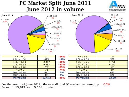 AMIC June 2012 Report