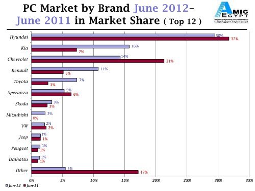 AMIC June 2012 Report