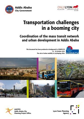 Transportation challenges in a booming city - Amiando