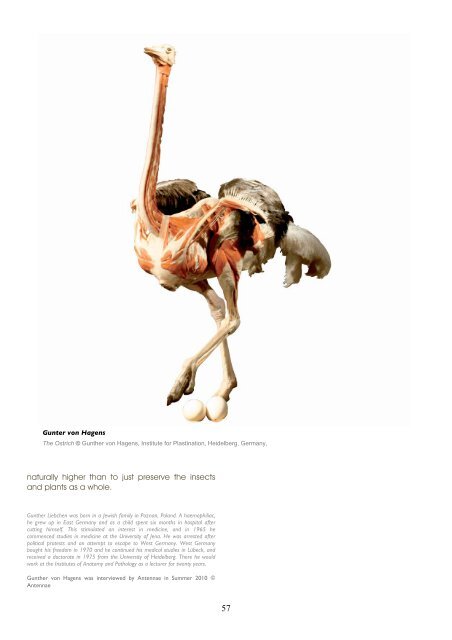 Meet Animal Meat - Antennae The Journal of Nature in Visual Culture