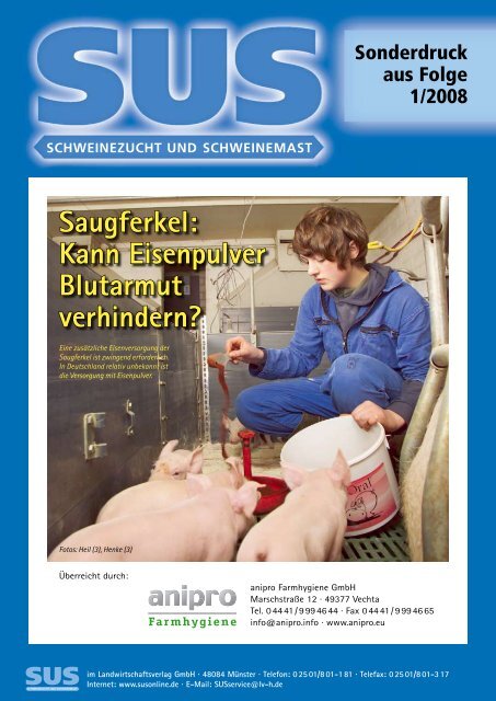 Saugferkel: Kann Eisenpulver Blutarmut verhindern? - anipro ...