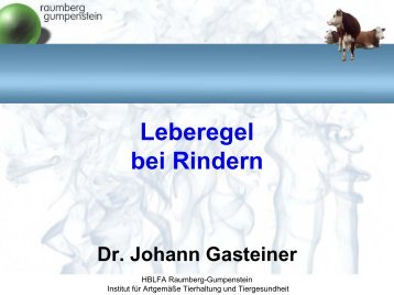 Leberegel bei Rindern Dr. Johann Gasteiner