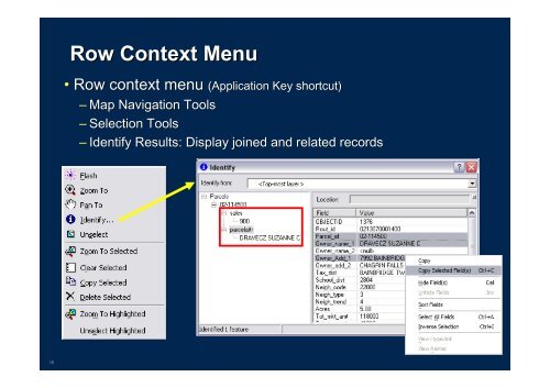 Visualizing ArcGIS Data with Graphs, Animations, and Reporting Tools