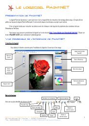 Le logiciel Paint.NET Le logiciel Paint.NET