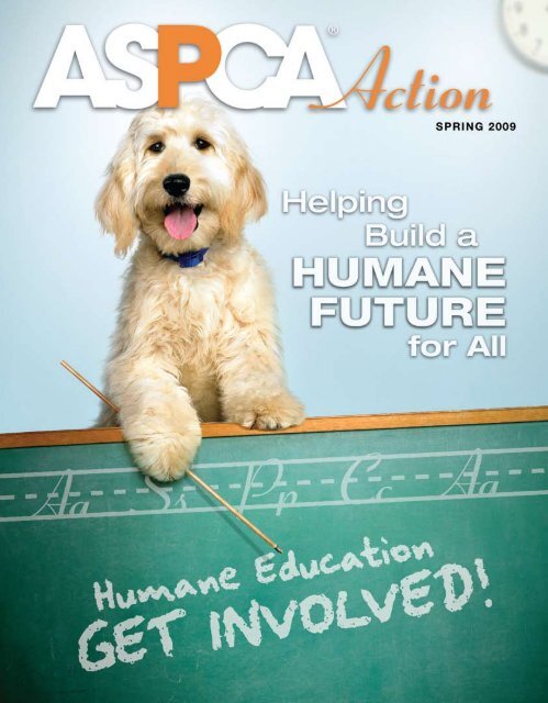 Spring 09 Aspca Spring 09 Aspca