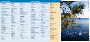plan de ville sanguinet - CDT Landes