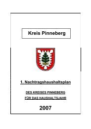 1. Nachtragshaushaltsplan 2007 - Kreis Pinneberg