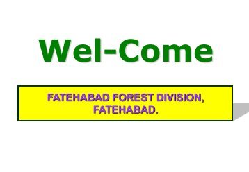 fatehabad forest division, fatehabad. - Home Page of Haryana ...