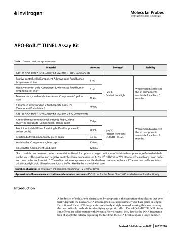 APO-BrdU™ TUNEL Assay Kit - Molecular Probes - Invitrogen