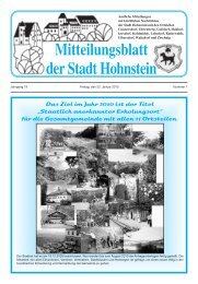 Das Ziel im Jahr 2010 ist der Titel „Staatlich anerkannter ... - Hohnstein