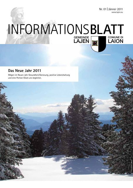 Informationsblatt 01/2011 (1,50 MB)