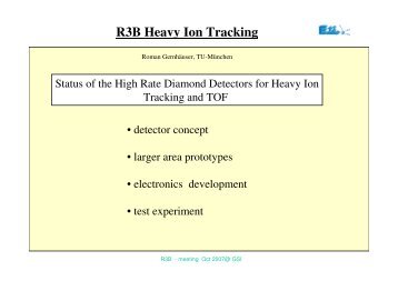 R3B Heavy Ion Tracking - GSI Webserver WWW-WIN