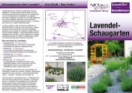 Folder Lavendel-Schaugarten - Maissau