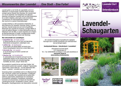Folder Lavendel-Schaugarten - Maissau