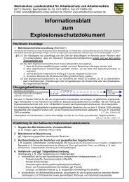 Informationsblatt zum Explosionsschutzdokument