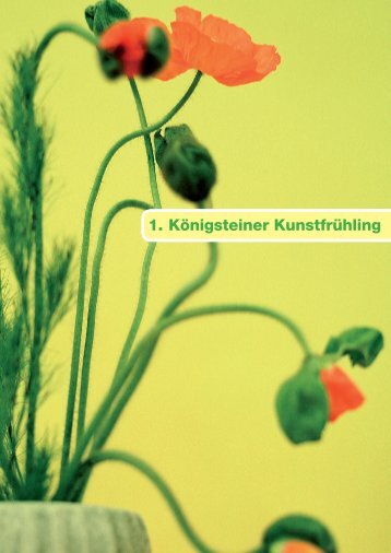 1. Königsteiner Kunstfrühling - Bianca Schikorr